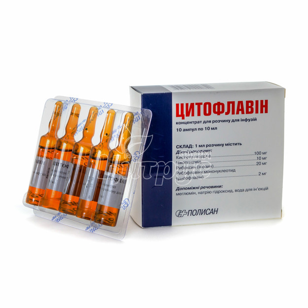 Цитофлавін концентрат для приготування розчину для інфузій ампули 10 мл 10 штук