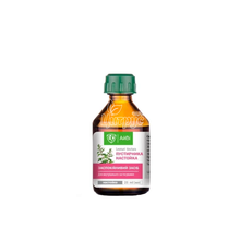 Путсирника настойка тм Айві флакон 25 мл