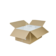 Пелюшки Тіні (Tini)  Economy 60 х 90 см 100 штук